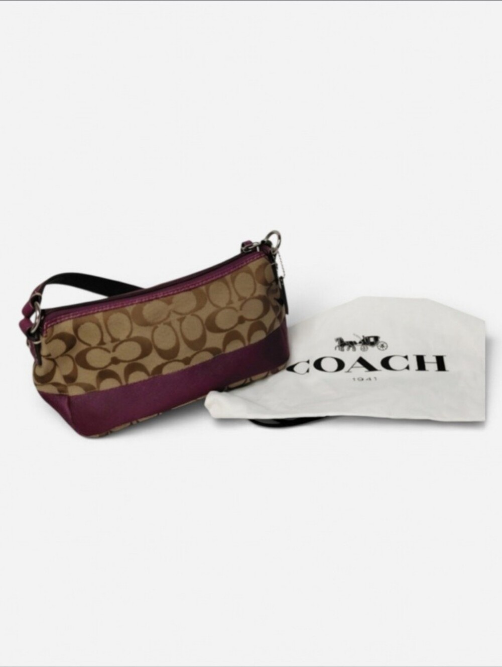 Coach Signature Mini Demi Puch Baguette Bag